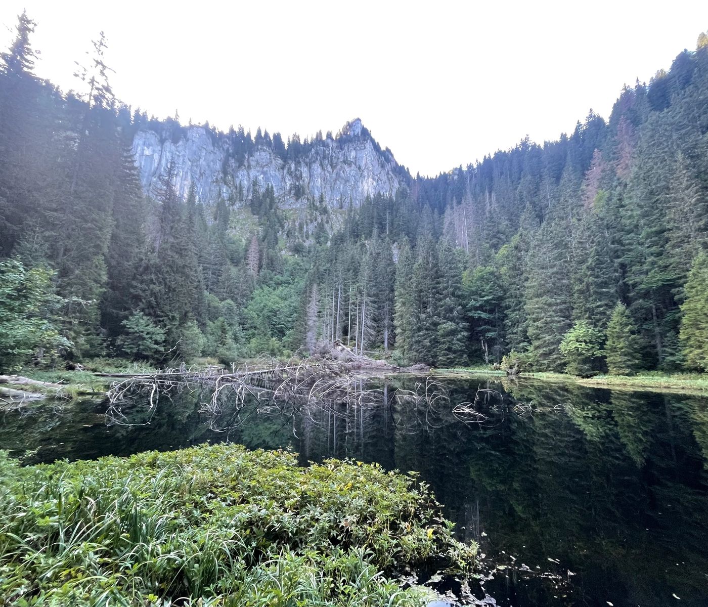 Le lac de la Chevrerie, entouré de forêt