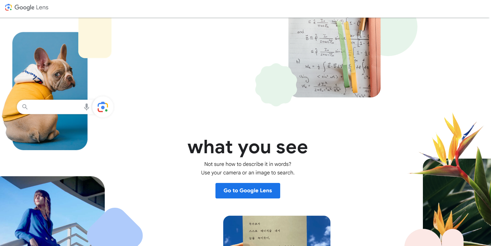 Google Lens website: Discover a powerful visual search tool that uses your phone's camera to identify objects, landmarks, and more.
