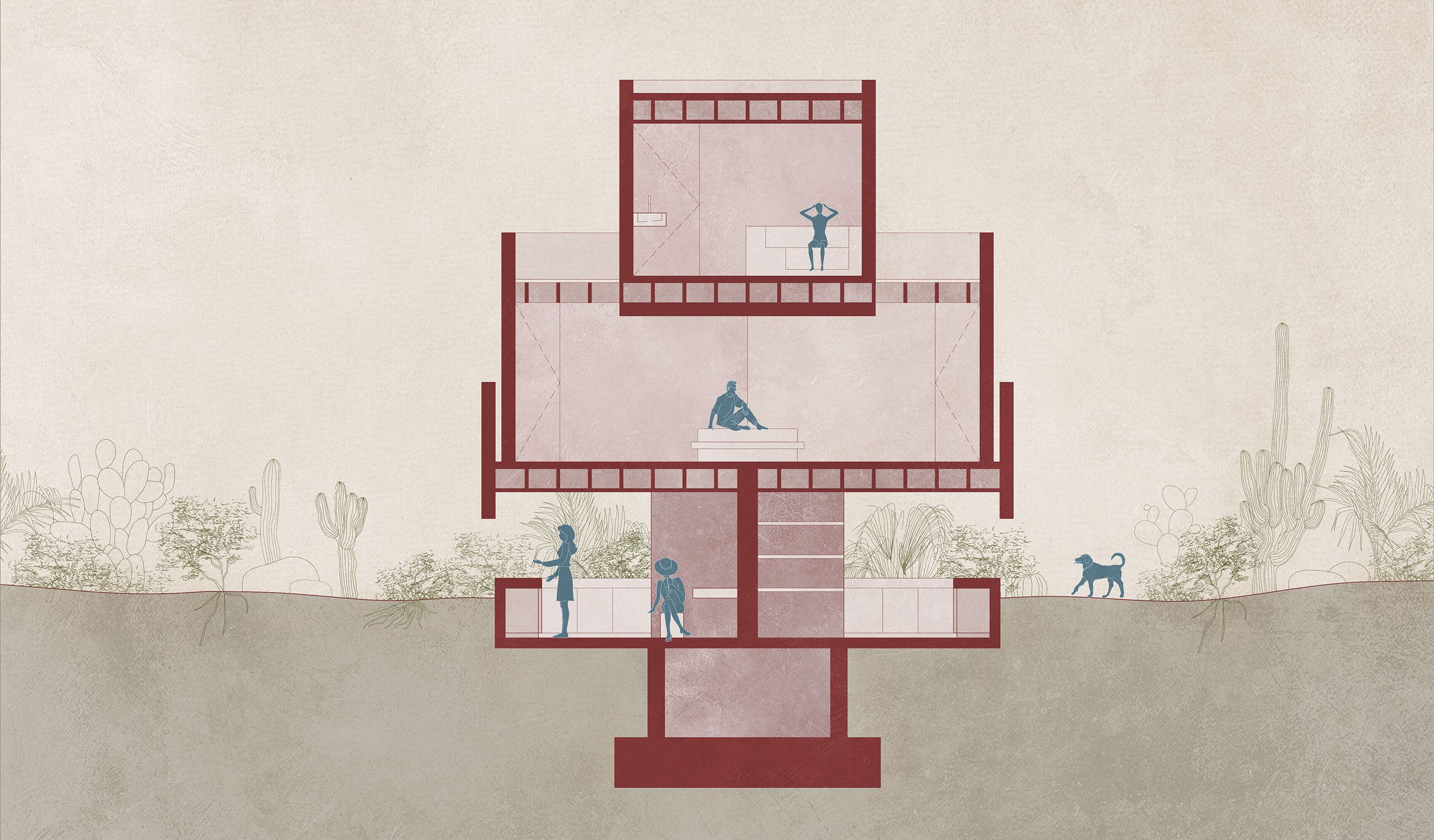 Baja Pavilions_C_Section