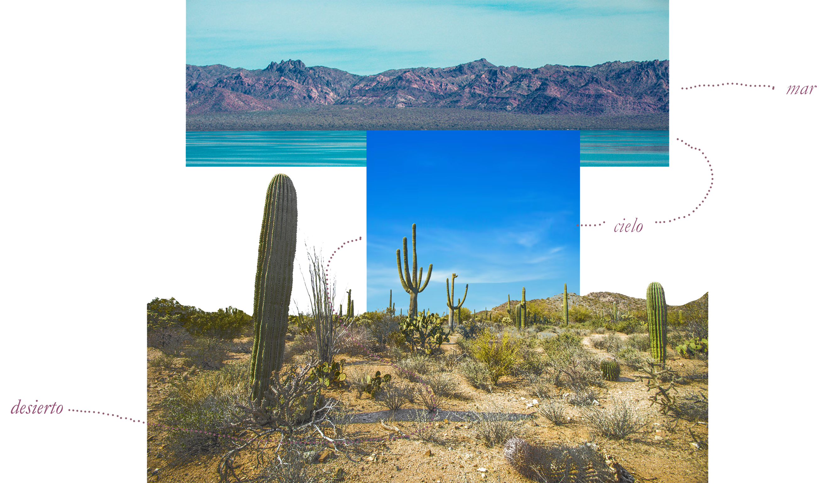 Baja Pavilions_Concept HL