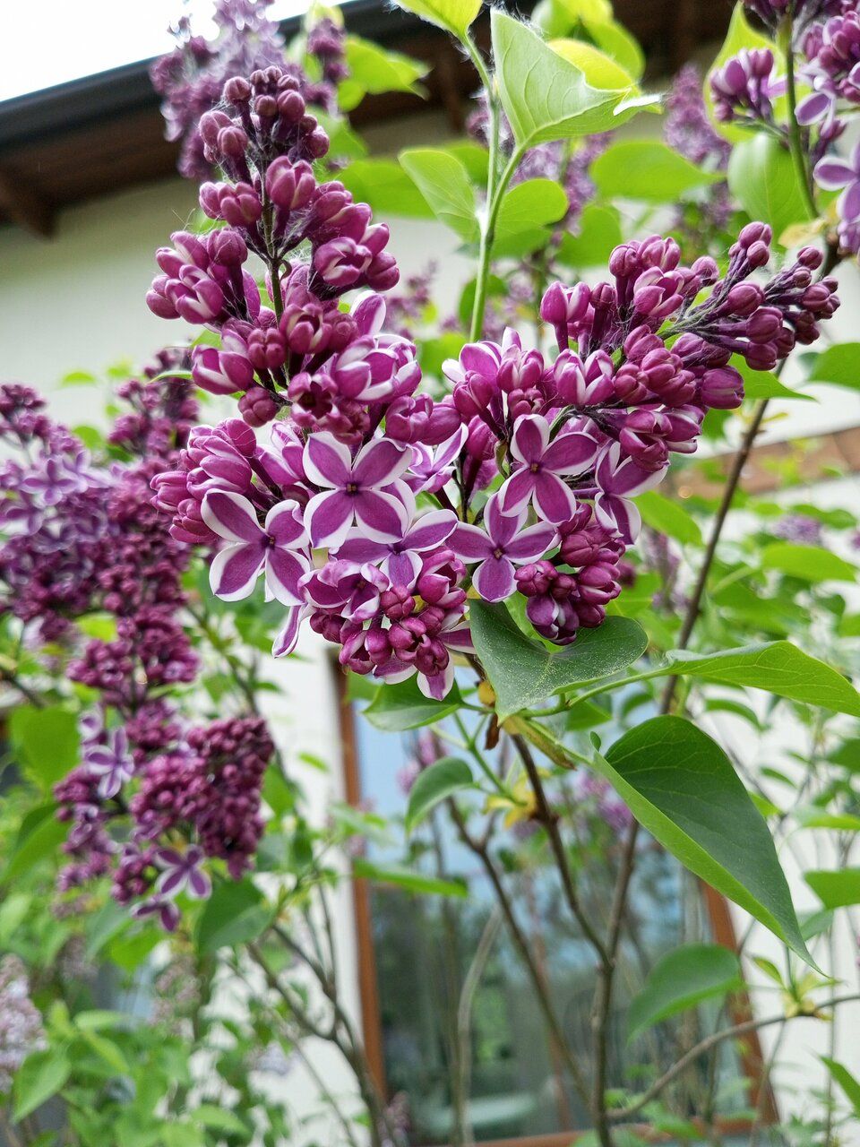 фото 6