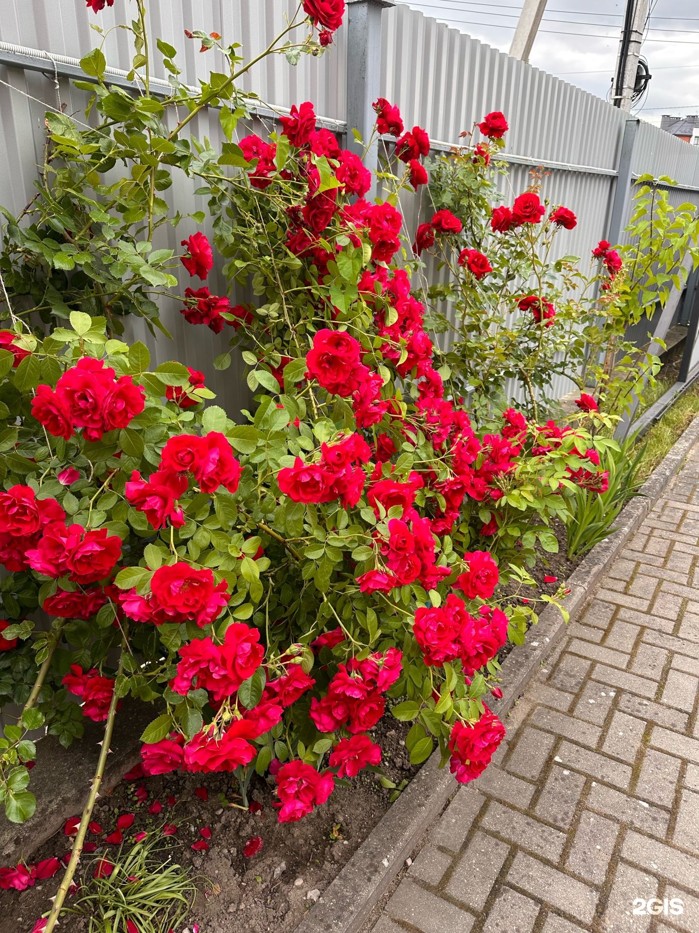 фото 2