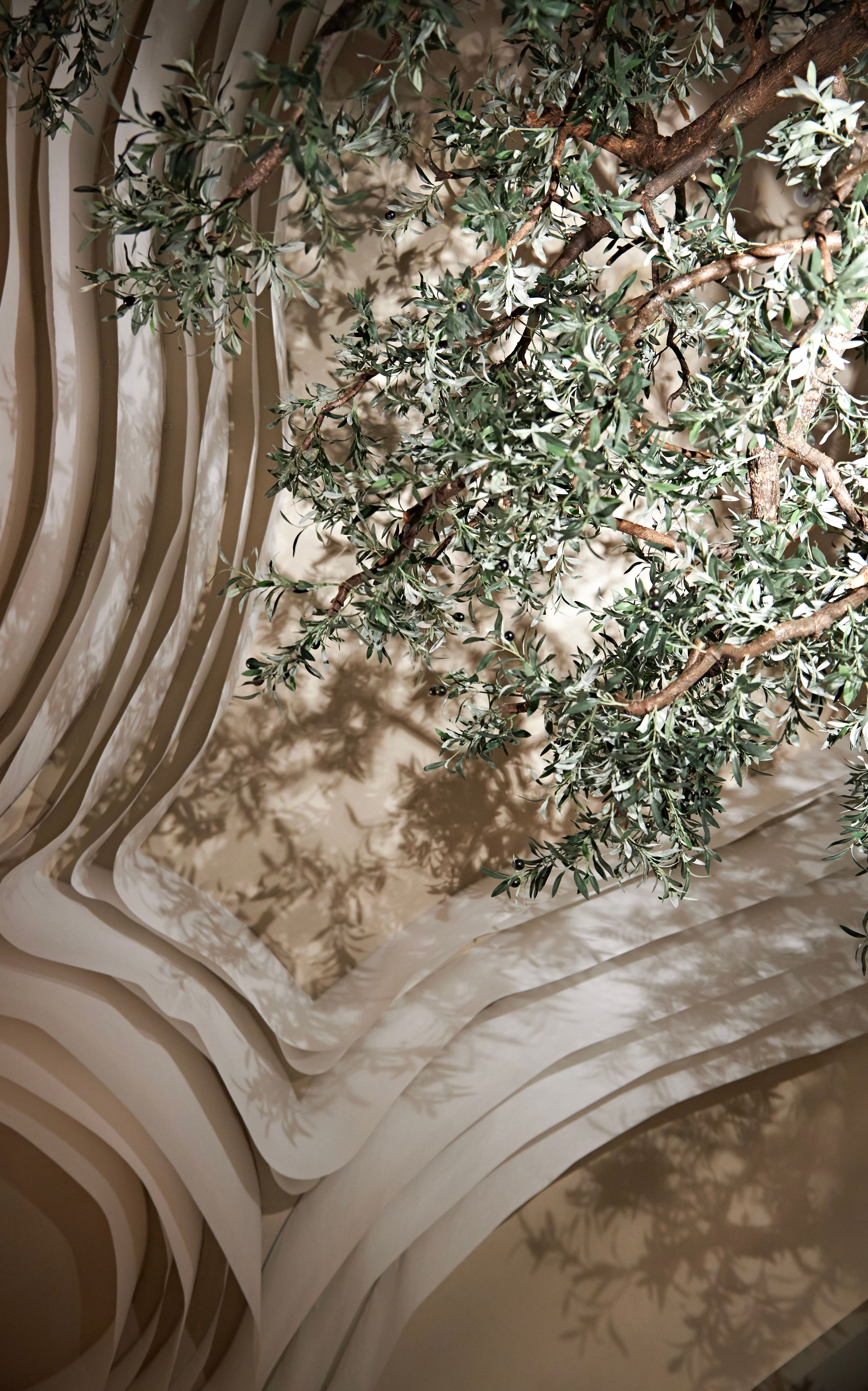 Under the olive tree ceiling detail