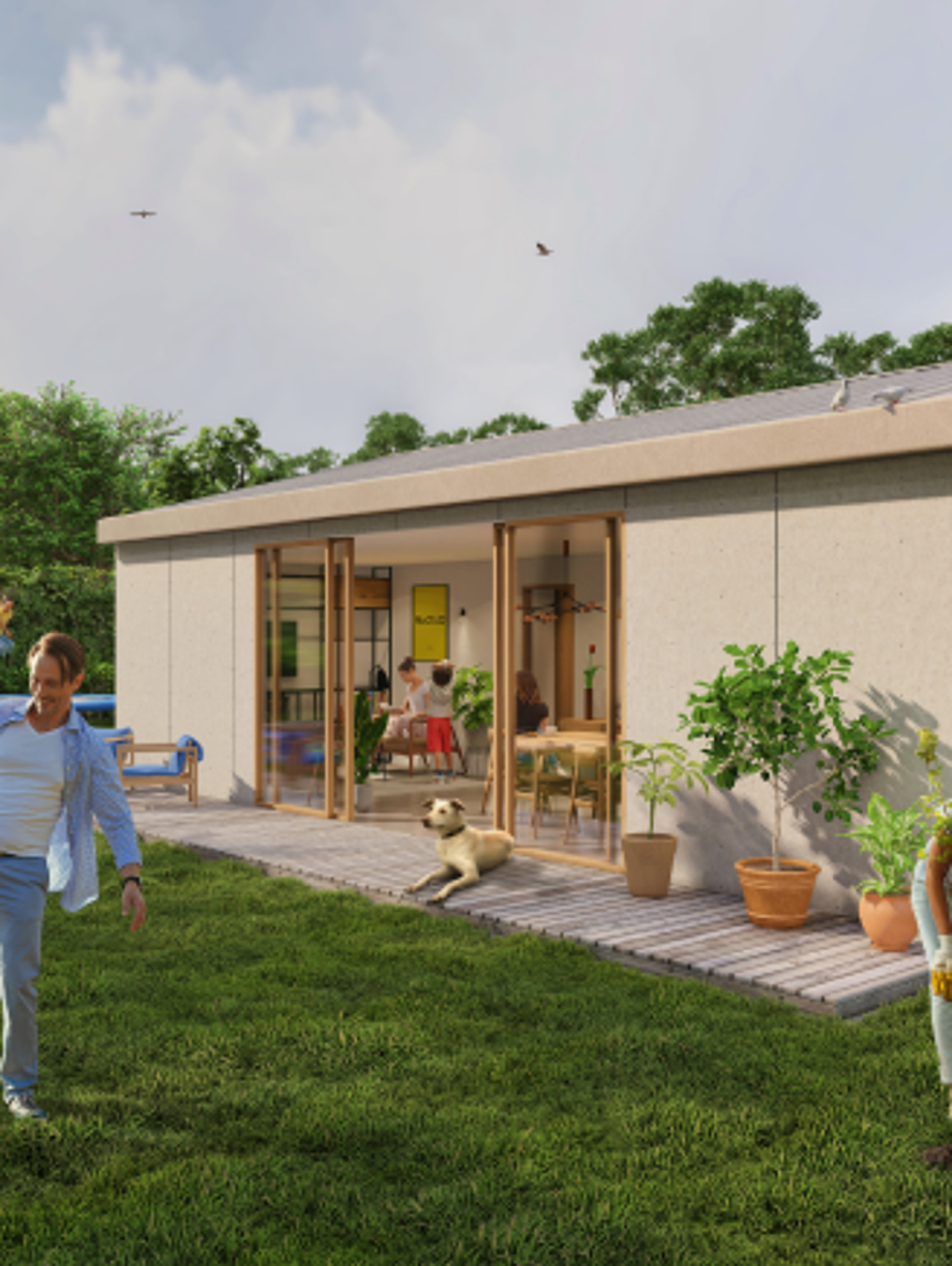 descripción de image 01