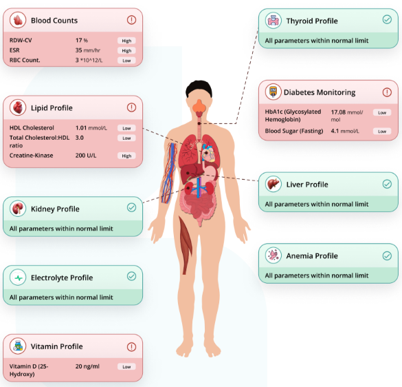 An easy to understand health summary that improves patient's understanding and their ability to make decisions related to their care