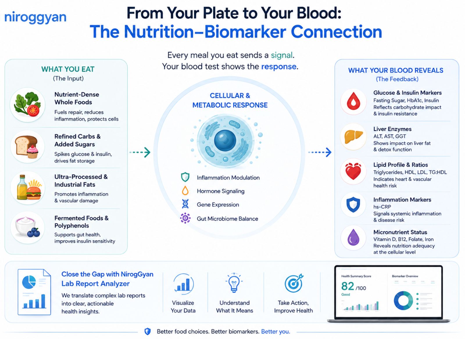 Diagram showing food as information and blood as feedback, illustrating the cycle between diet and lab test results