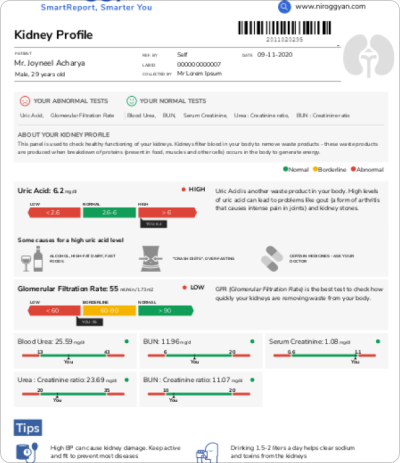 How Dr. Dangs Lab Elevated Premium Pathology with VizApp’s Smart Reporting Platform
