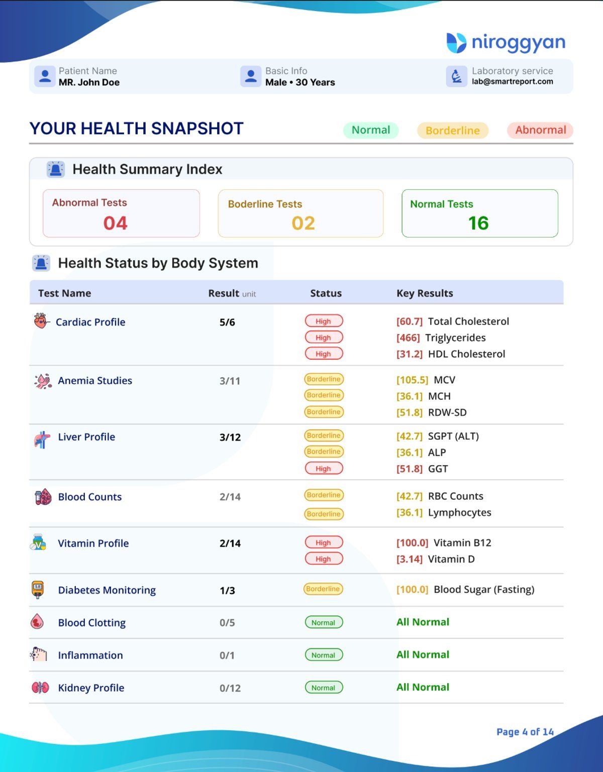 NirogGyan Smart Report showing health snapshot with abnormal, borderline and normal test counts across organ systems