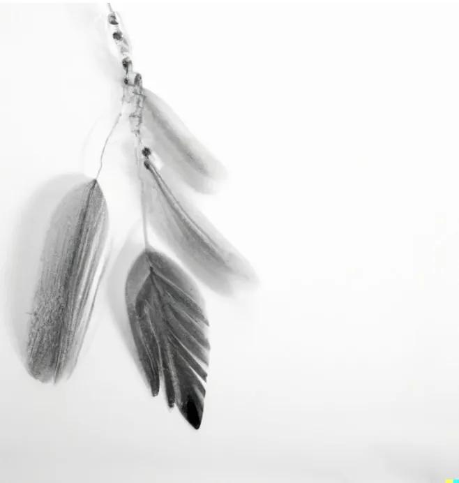 blog-image