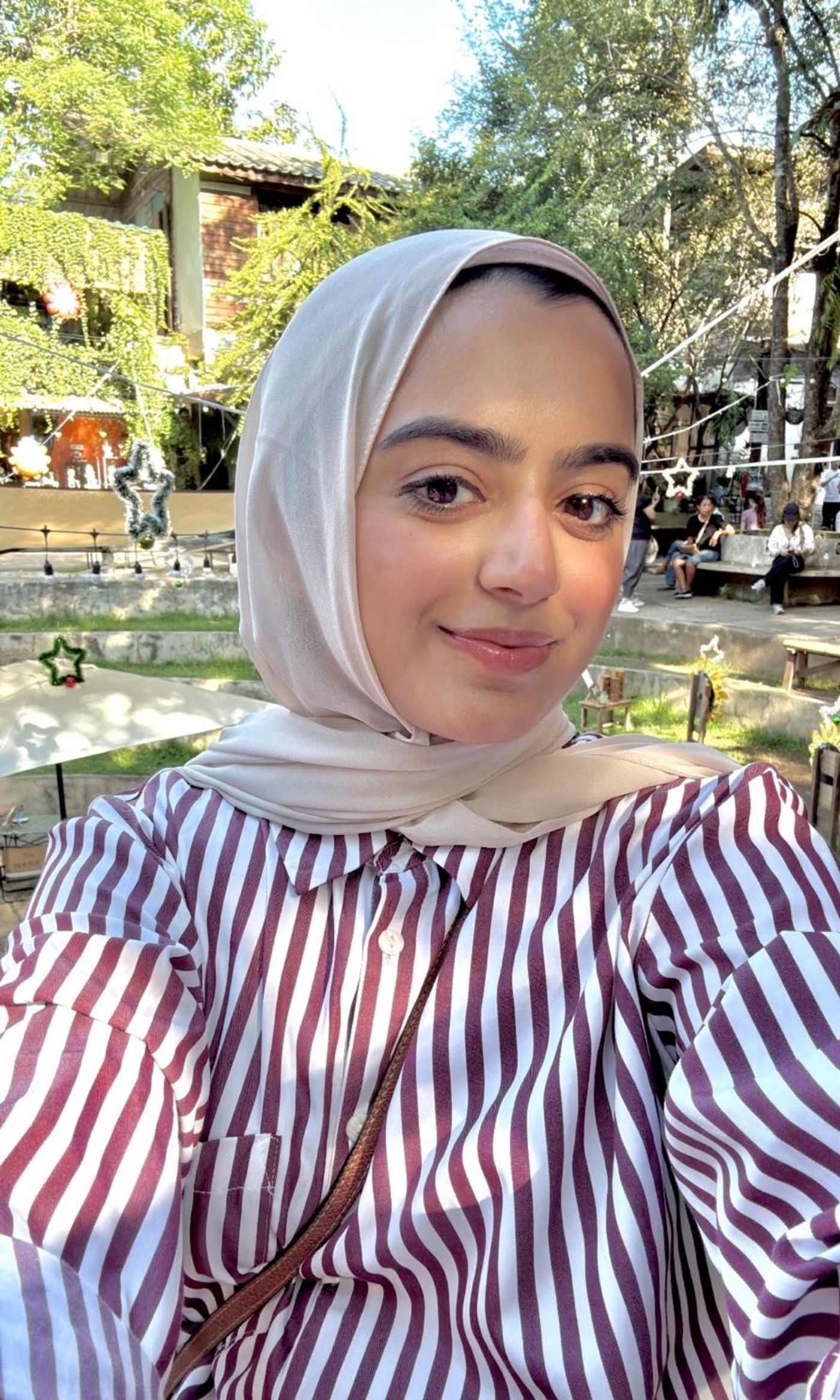 Portrait of Qurratulain Rizvi, Admin