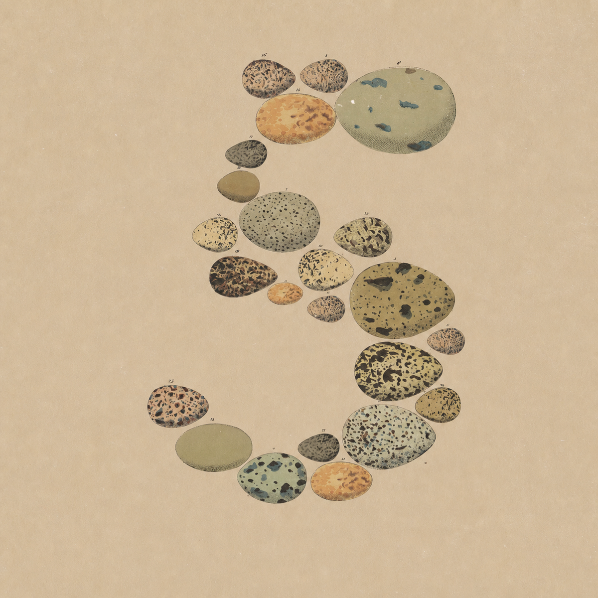 Opus 5: Fable 5 level intelligence at a lower cost per task