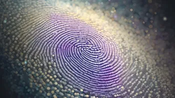 is customer data safe in a world run by AI agents?