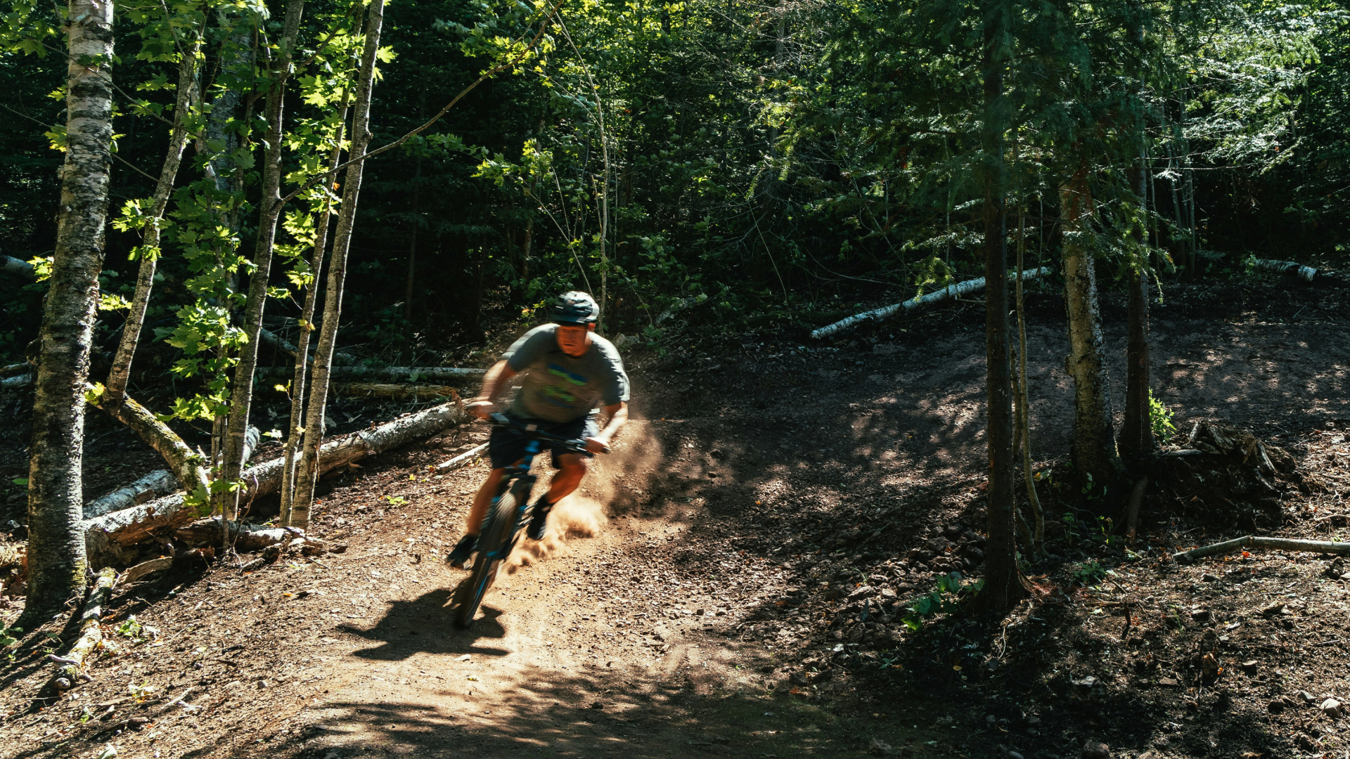 the road ahead for AI customer service