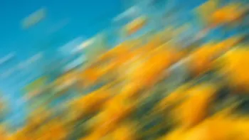 grounding and hallucinations in AI: taming the wild imagination of artificial intelligence