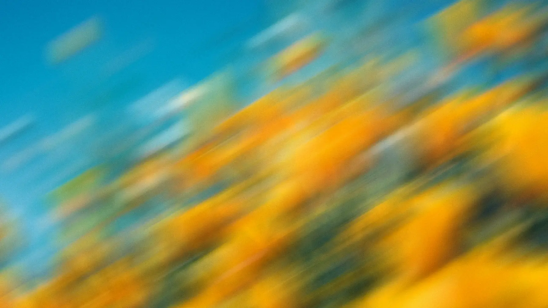 grounding and hallucinations in AI: taming the wild imagination of artificial intelligence