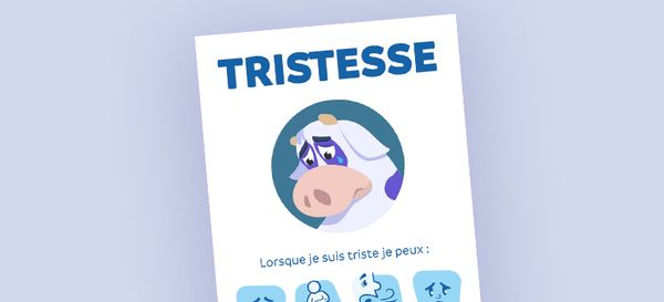 Affiches des émotions de base