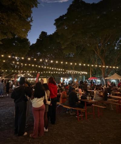 Sunset & Nightlife Experience photo 2