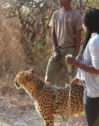 Premium Chaminuka Experience photo 5