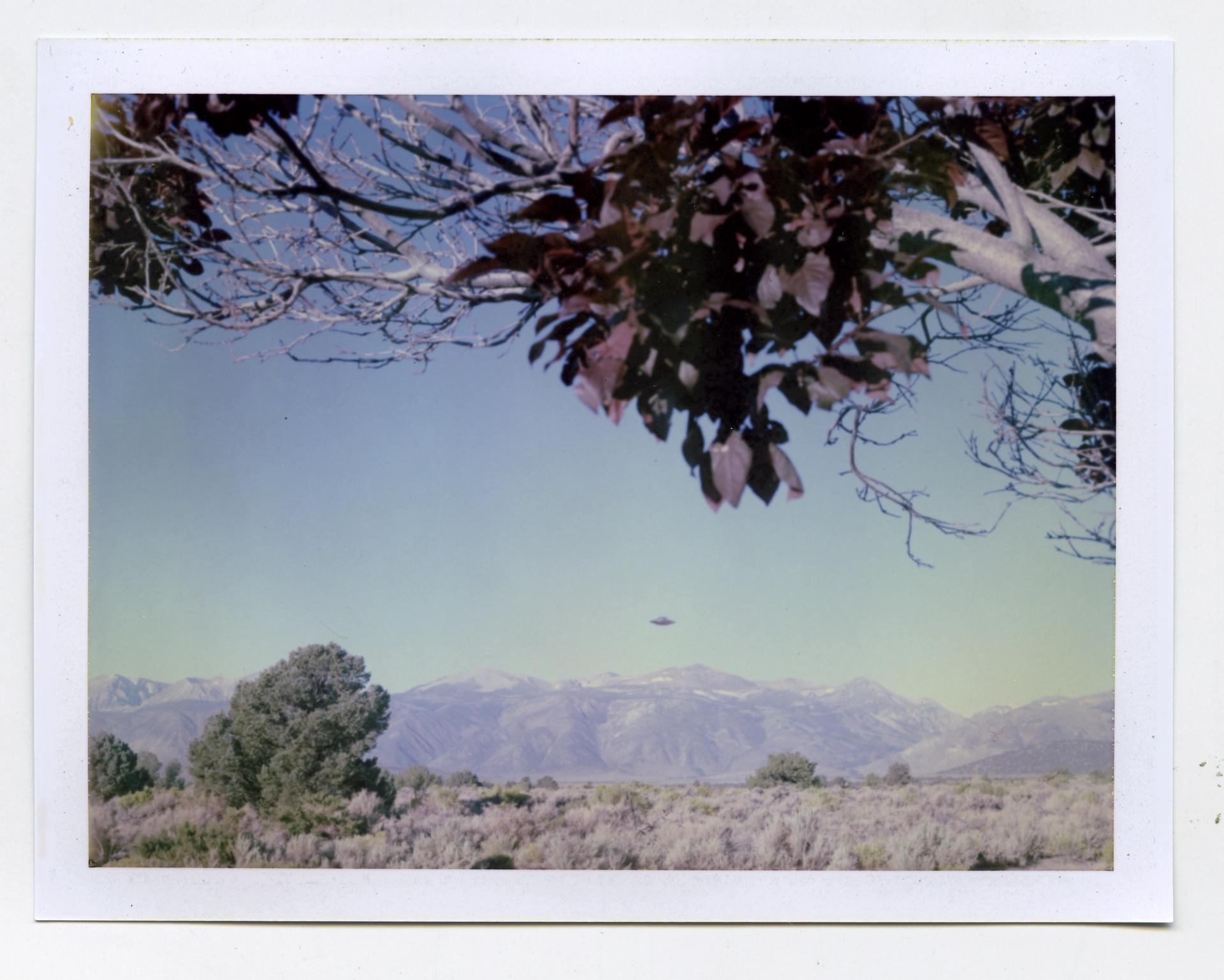 A vintage Polaroid photograph of a desert landscape with mountains and scrubland, tree branches overhead, and a small disc-shaped object visible in the sky.