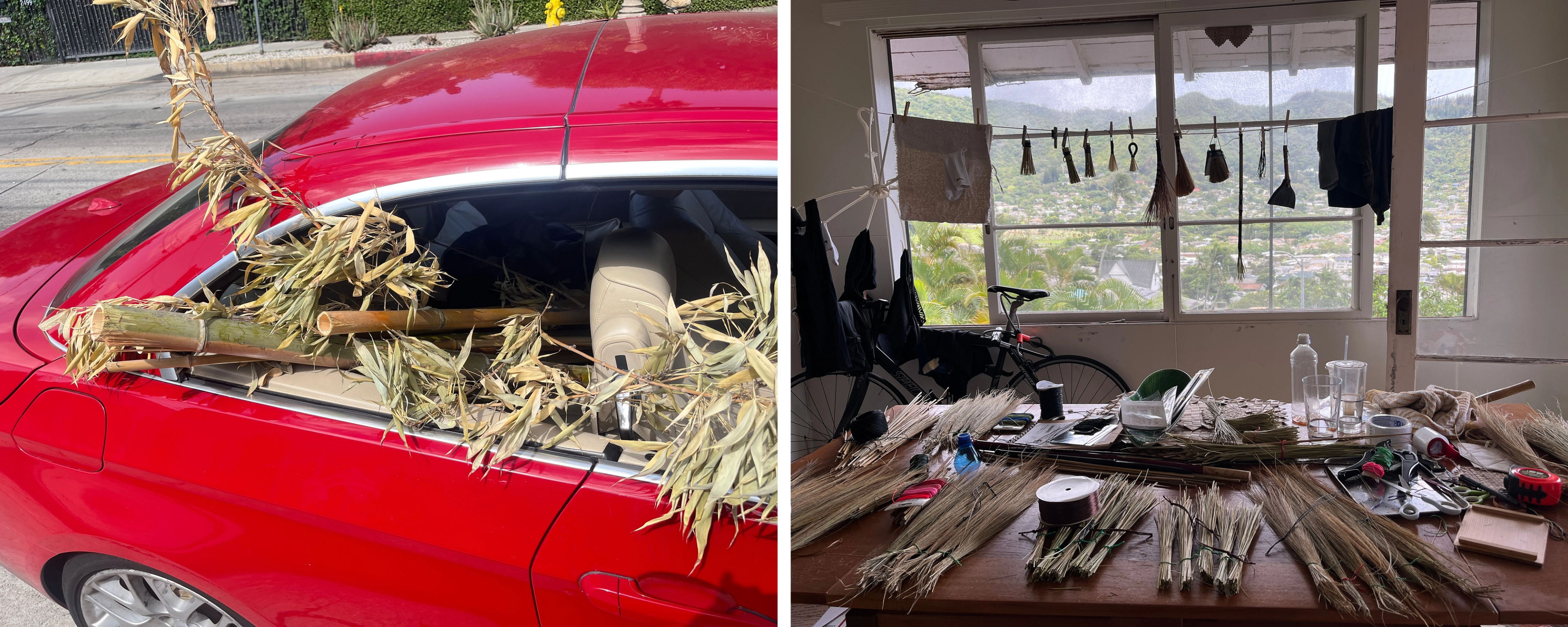 A red car with the windows rolled down and stalks of leafy, dried bamboo sticking out.; A table covered with bundles of fiber faces windows looking out over a lush green landscape.