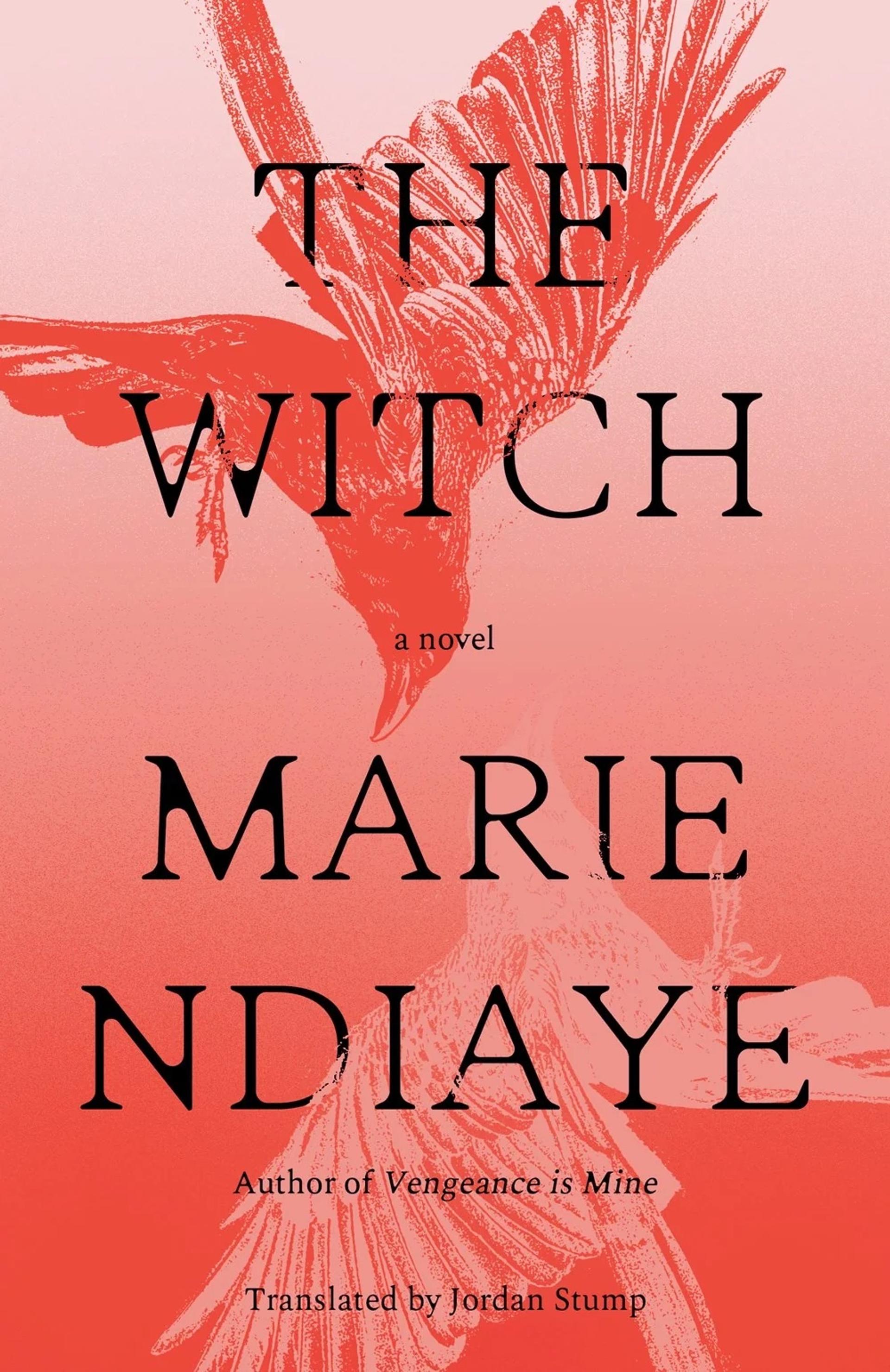 Book cover of The Witch by Maria NDiaye featuring two silhouetted red birds.