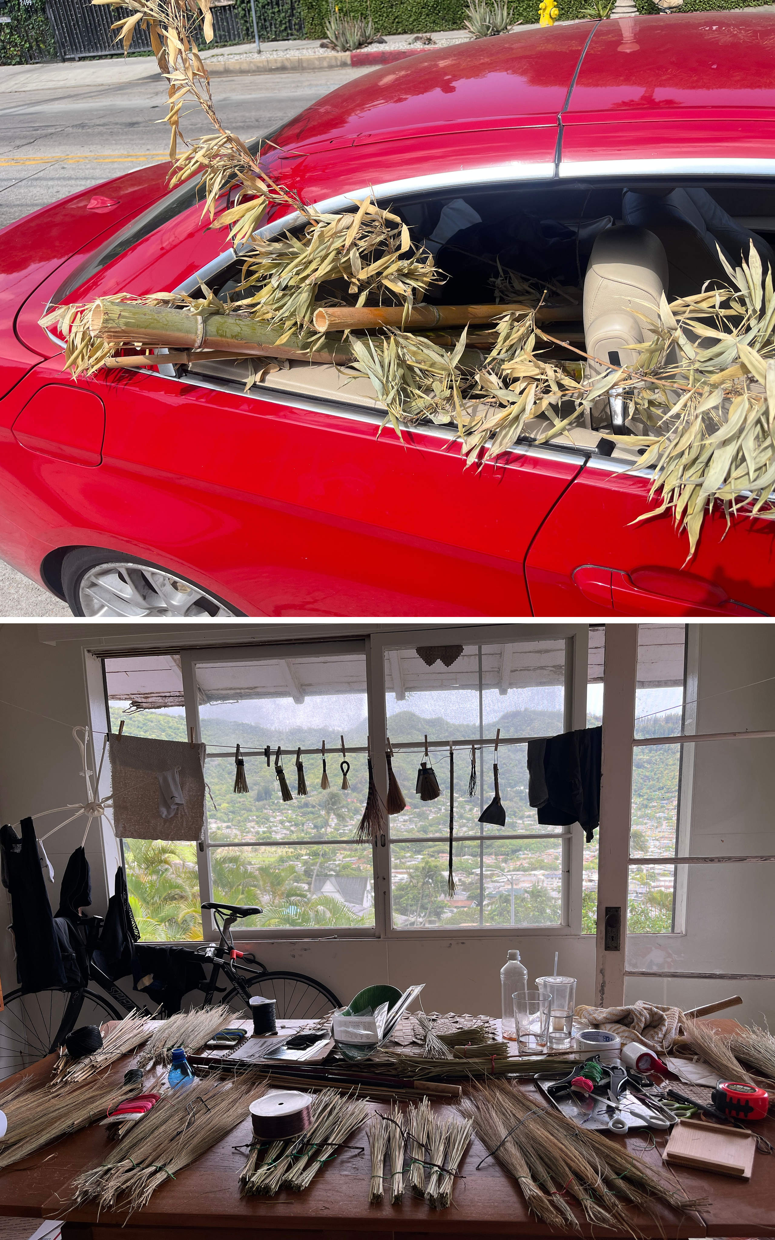 A red car with the windows rolled down and stalks of leafy, dried bamboo sticking out.; A table covered with bundles of fiber faces windows looking out over a lush green landscape.