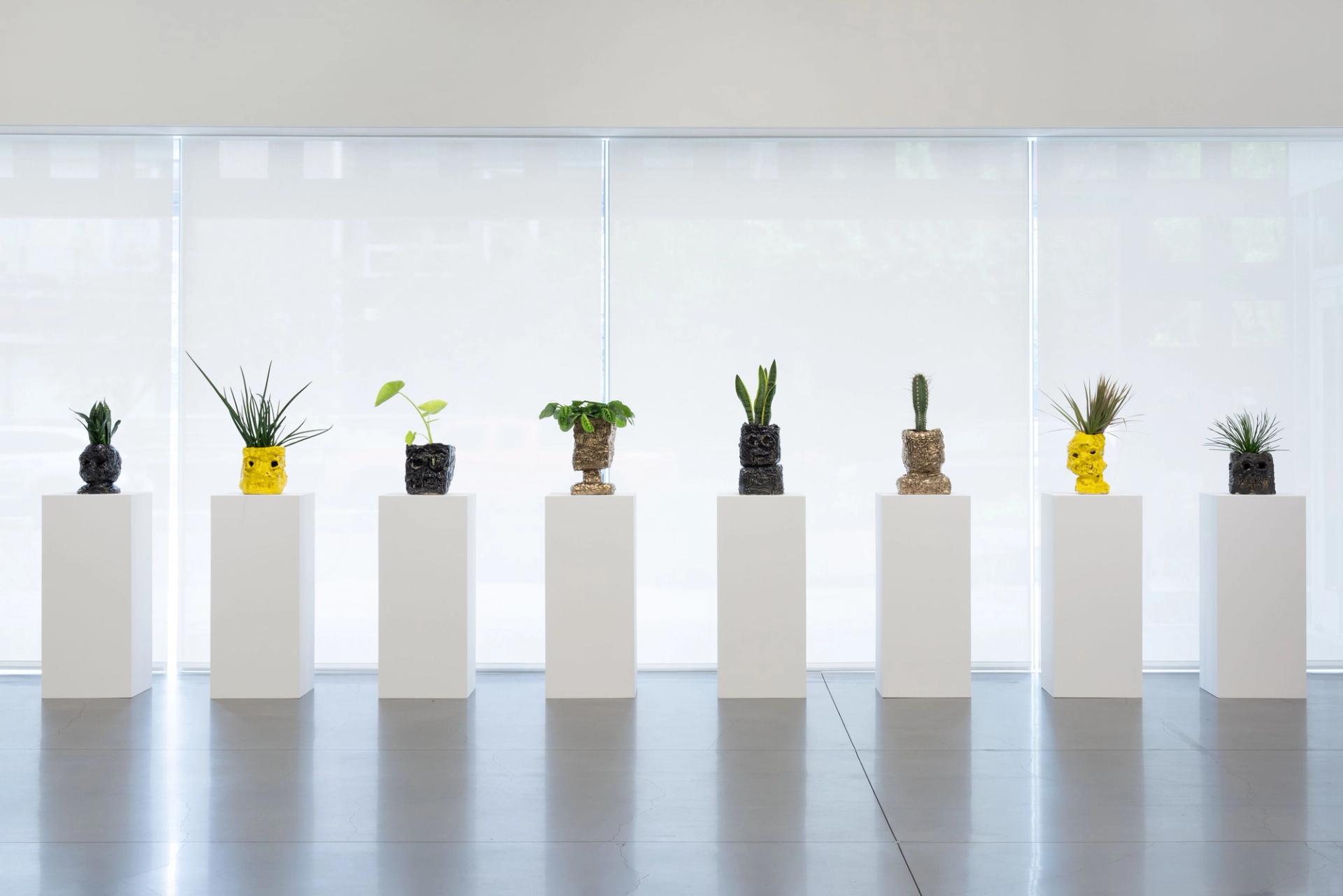 Series of sculptural planters with human faces displayed on white pedestals across gallery space.