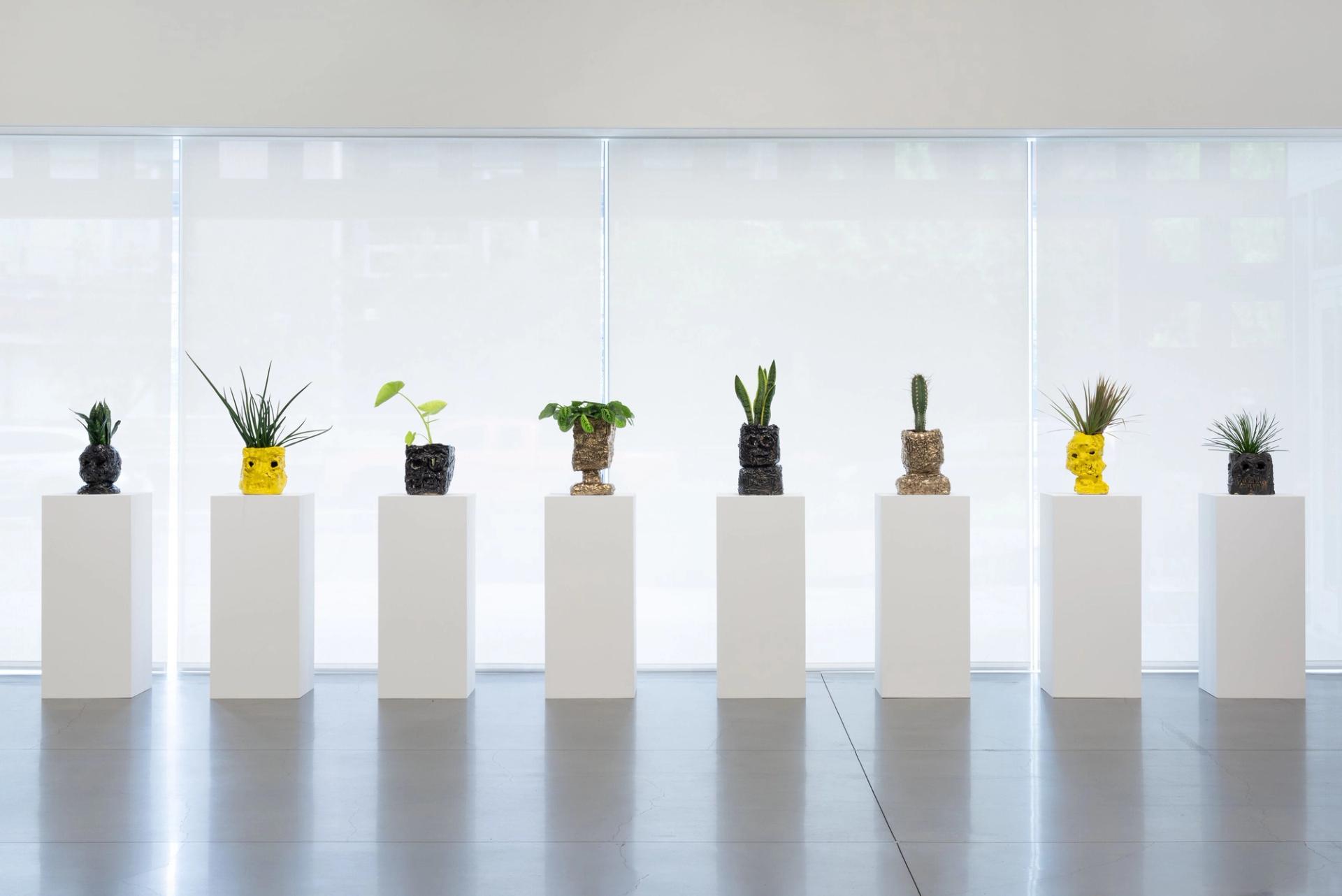 Series of sculptural planters with human faces displayed on white pedestals across gallery space.