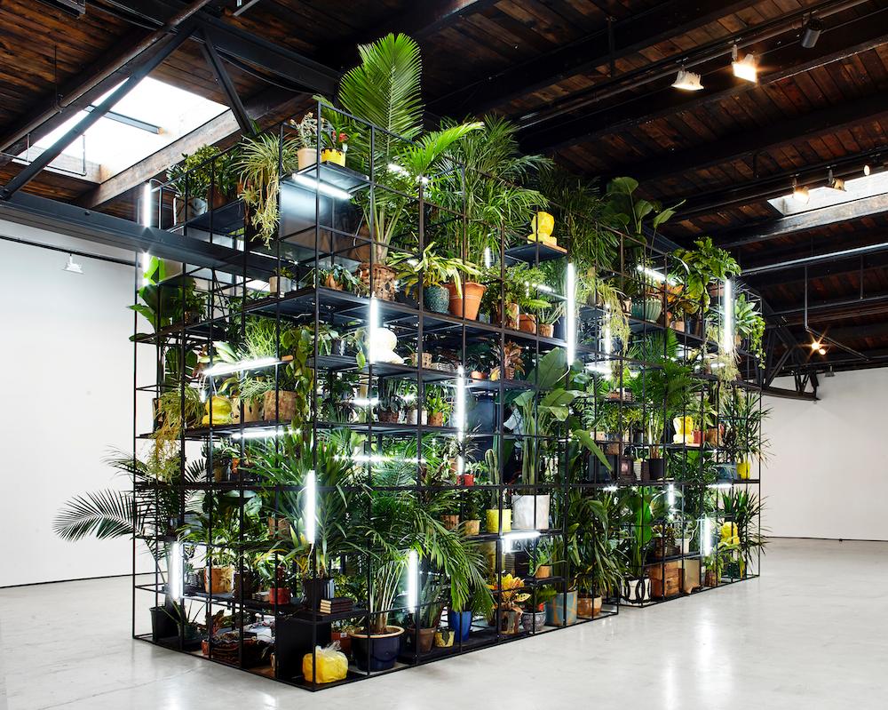 Large plant-filled installation built from black metal shelving inside expansive contemporary gallery space.
