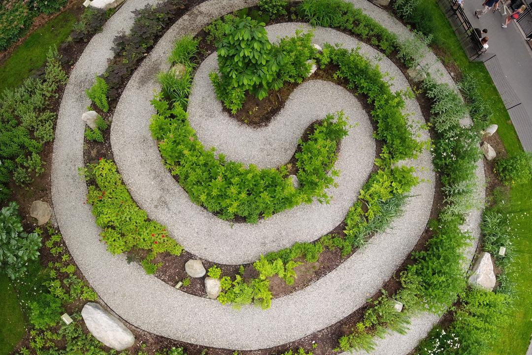 An aerial view of a spiral of plants and pathways.