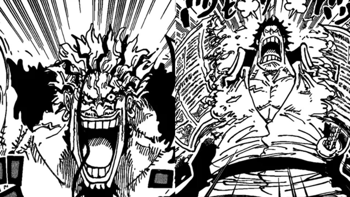 Was Kaido Going To Marineford To Help Whitebeard Or Attack Him?