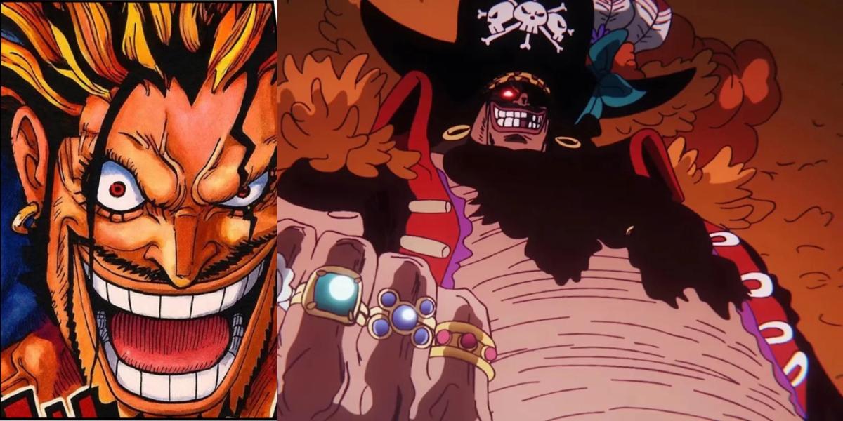 One Piece's Slowly Developing A Nepotism Problem