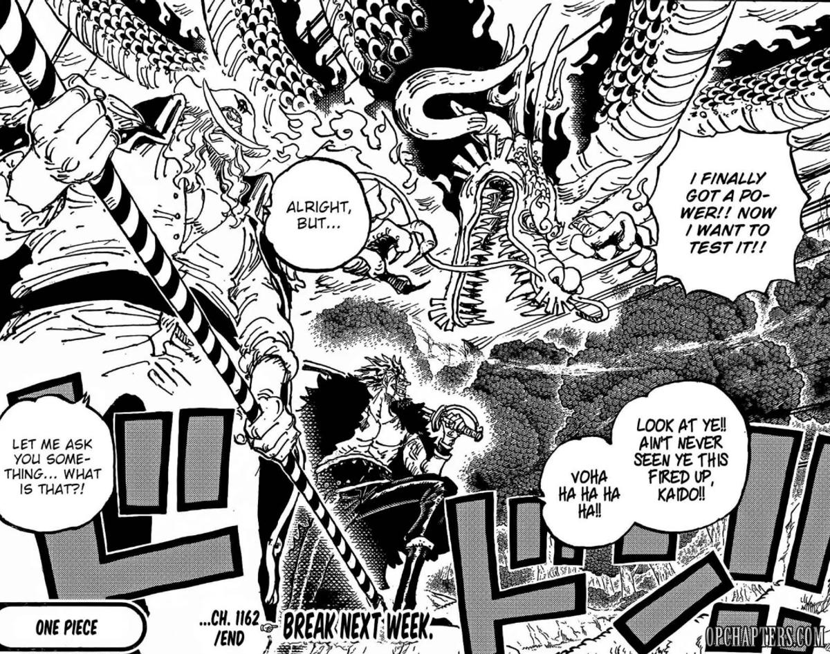 Was Kaido Going To Marineford To Help Whitebeard Or Attack Him?