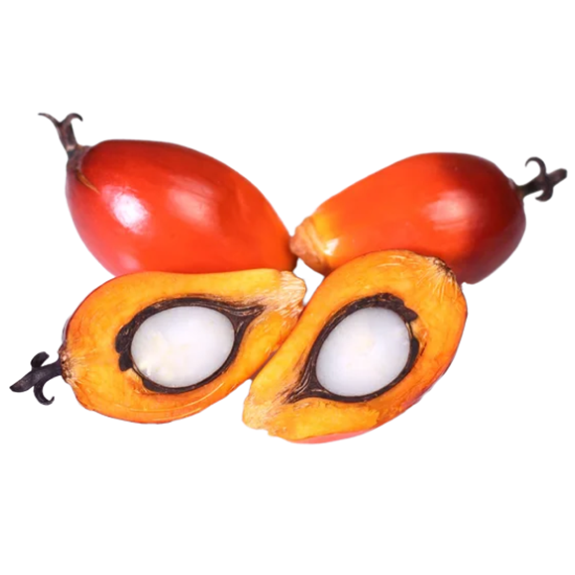 PALMISTE