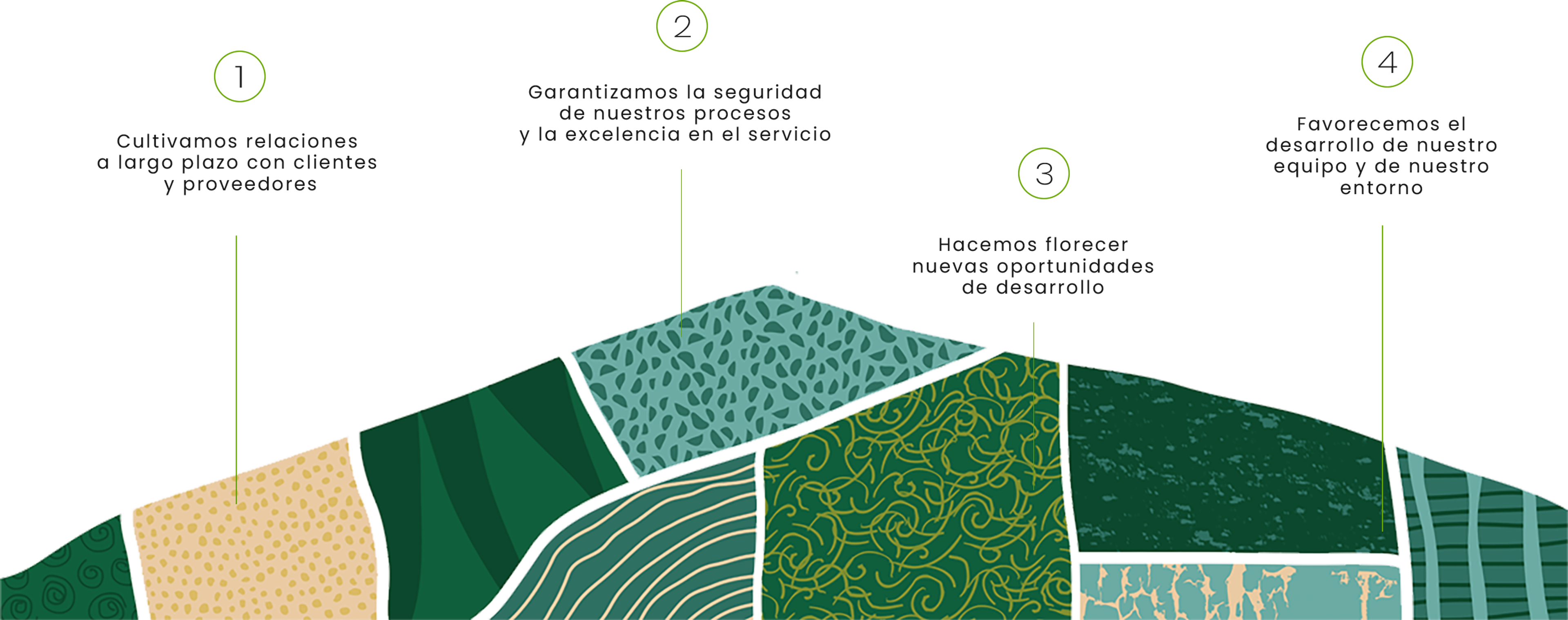 infografia