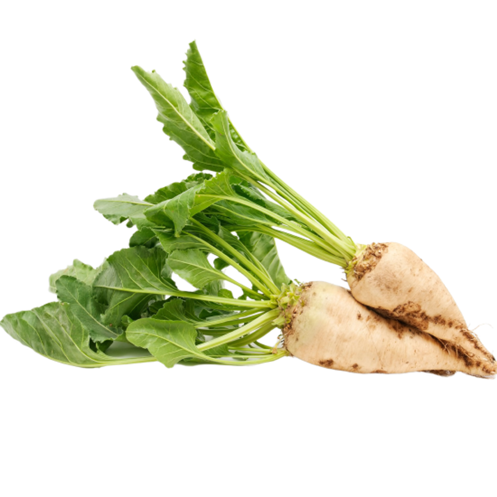remolacha