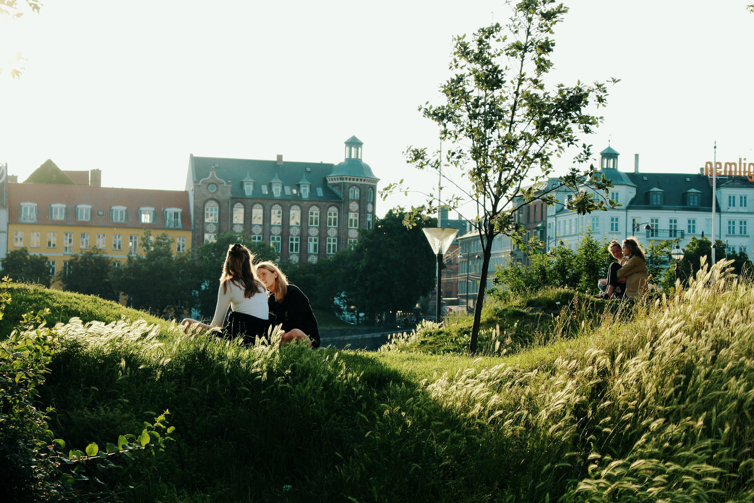people in park