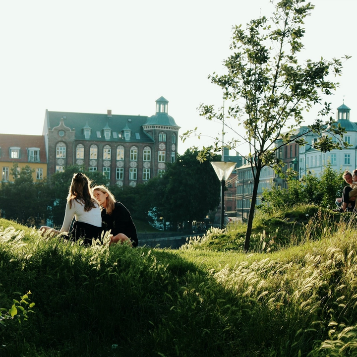 people in park