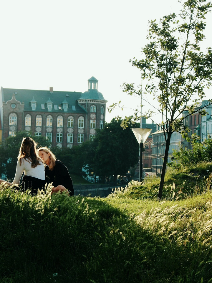 people in park
