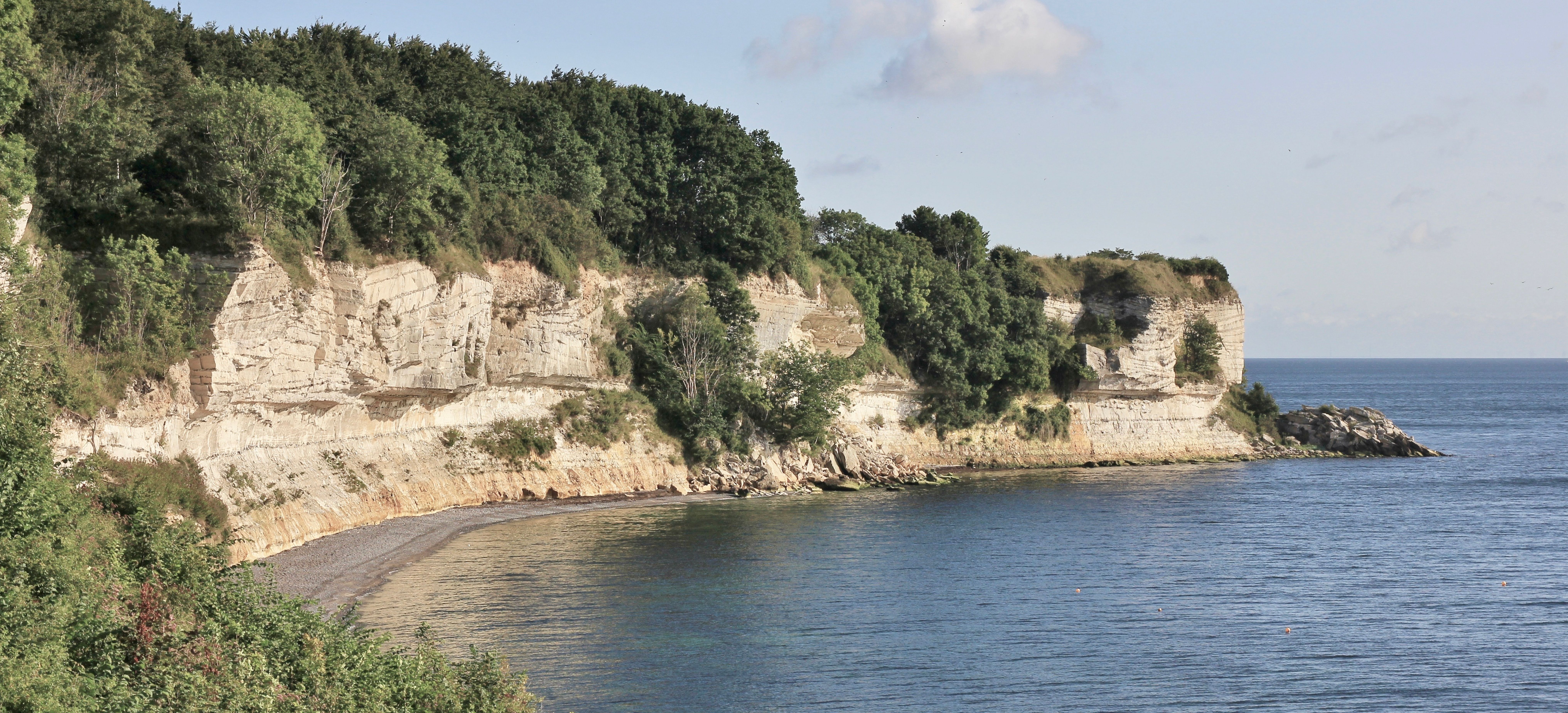 stevns klint