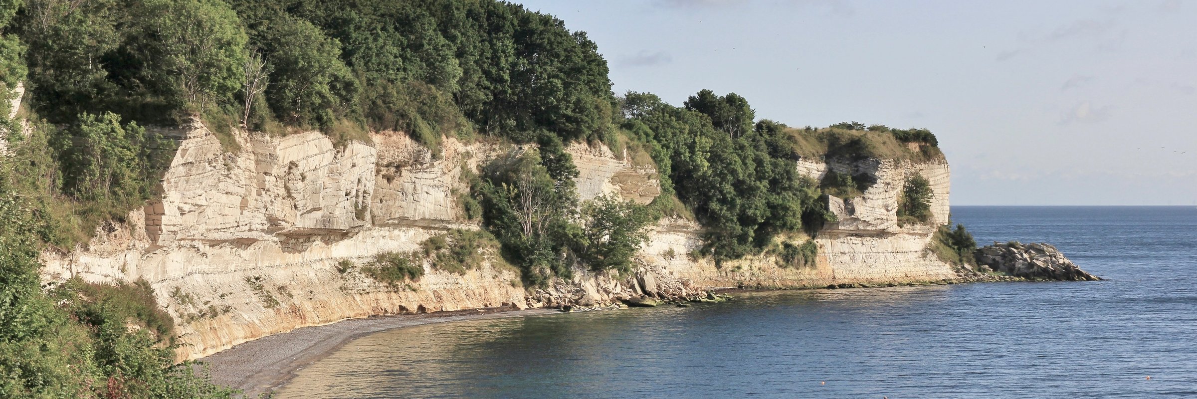 stevns klint