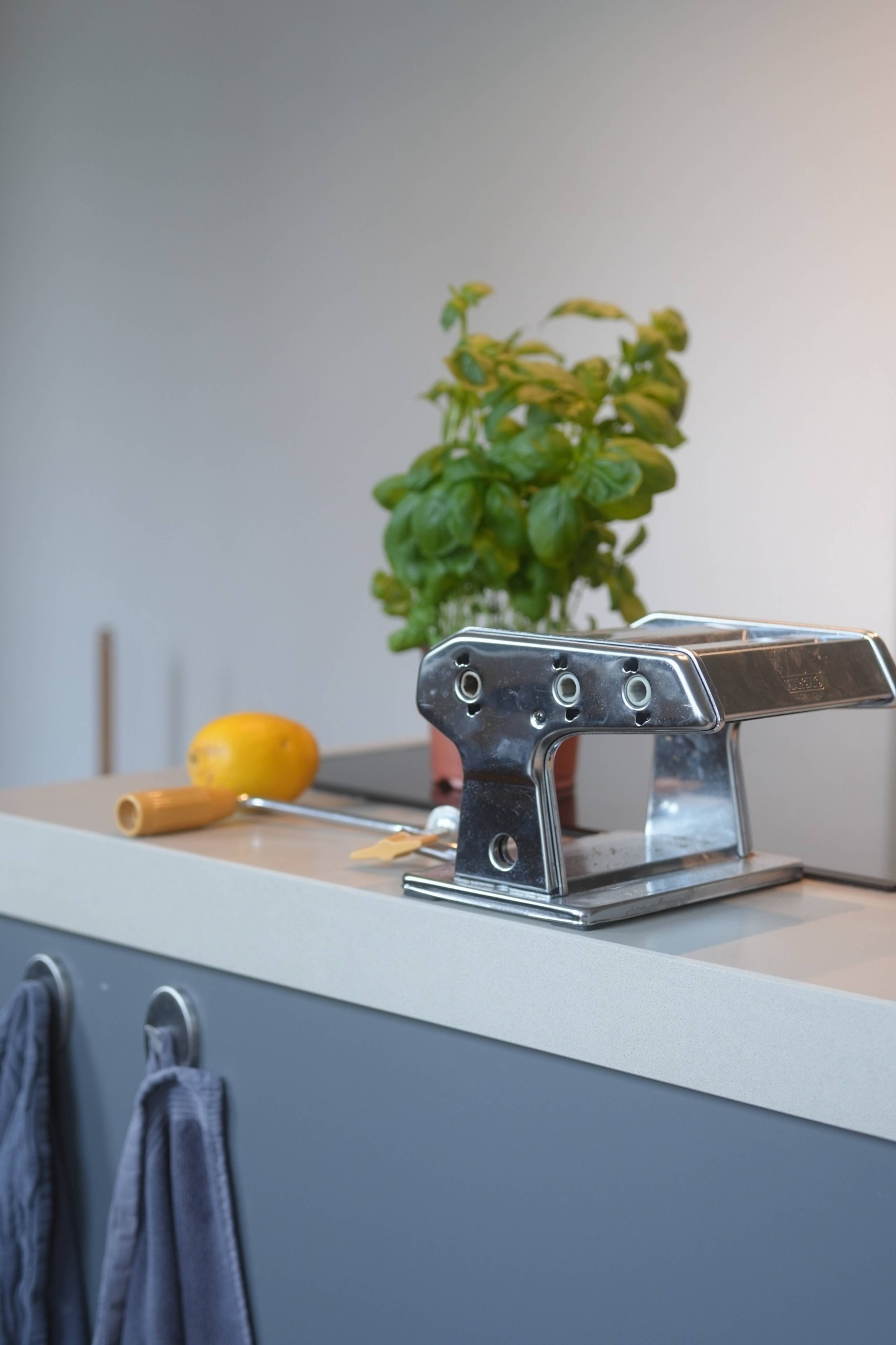 Pasta maker and basil on the kitchen counter, late afternoon