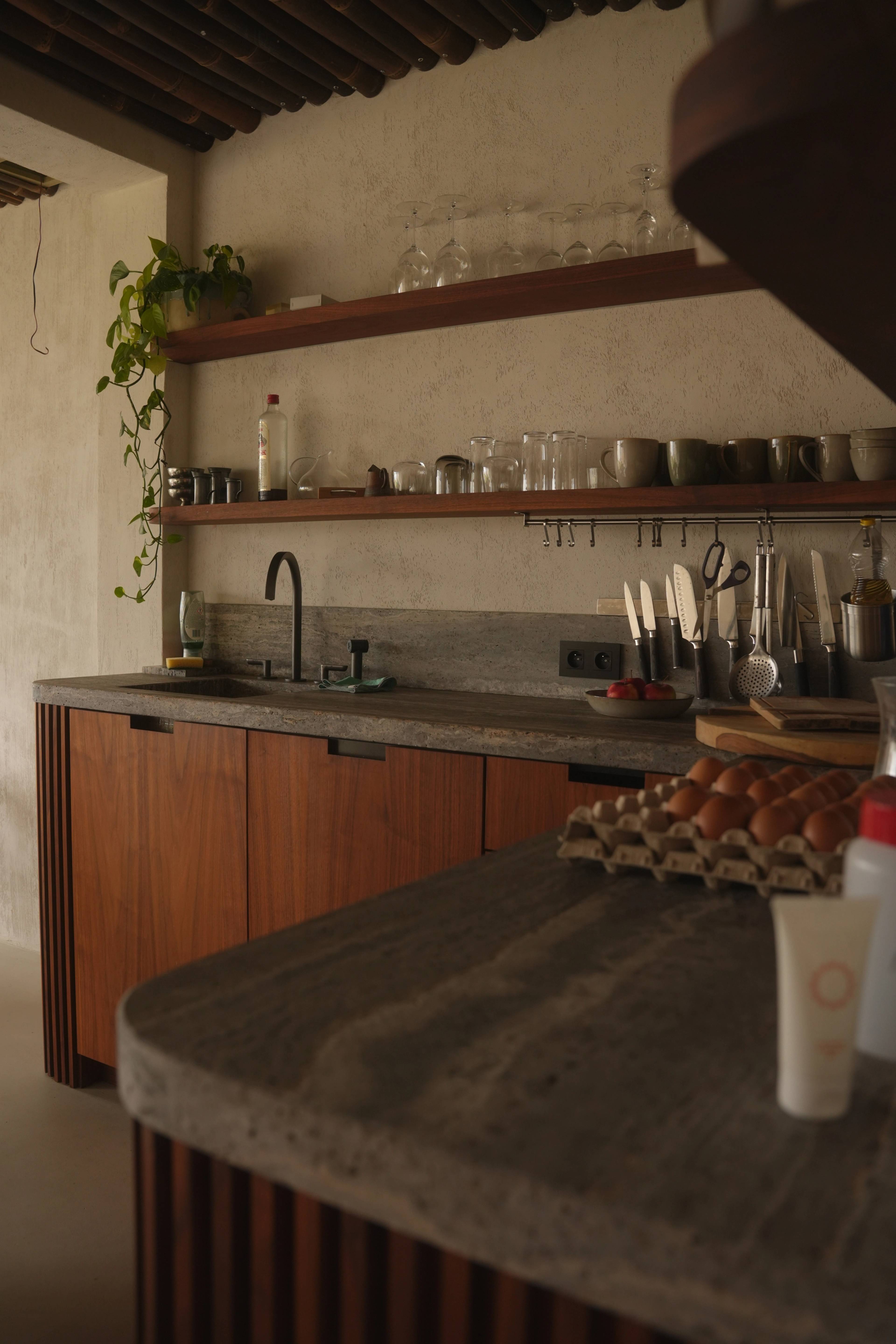 Open kitchen with concrete counters, wooden cabinets, a tray of eggs and a trailing plant