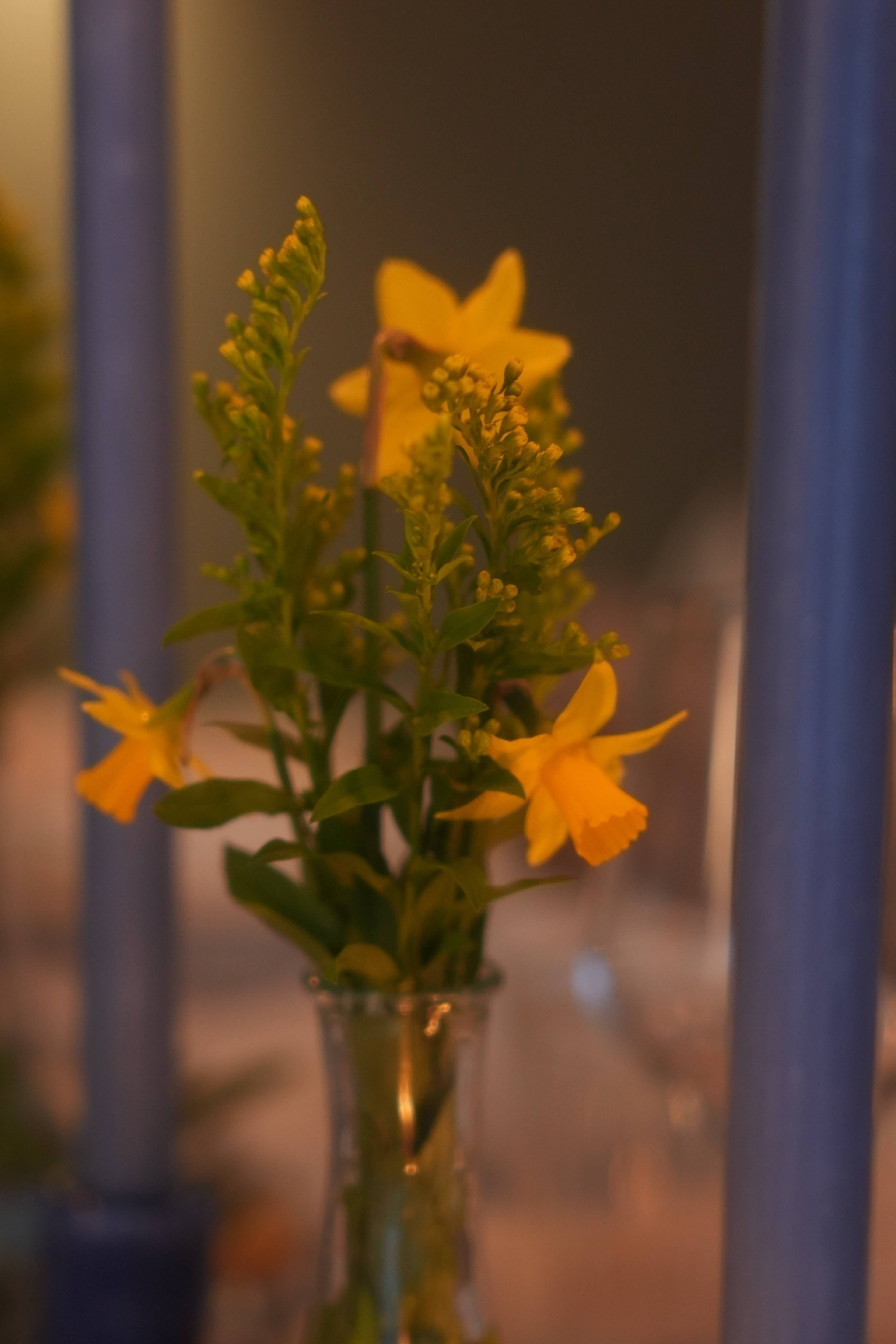 Yellow flowers in a small vase between blue tapered candles