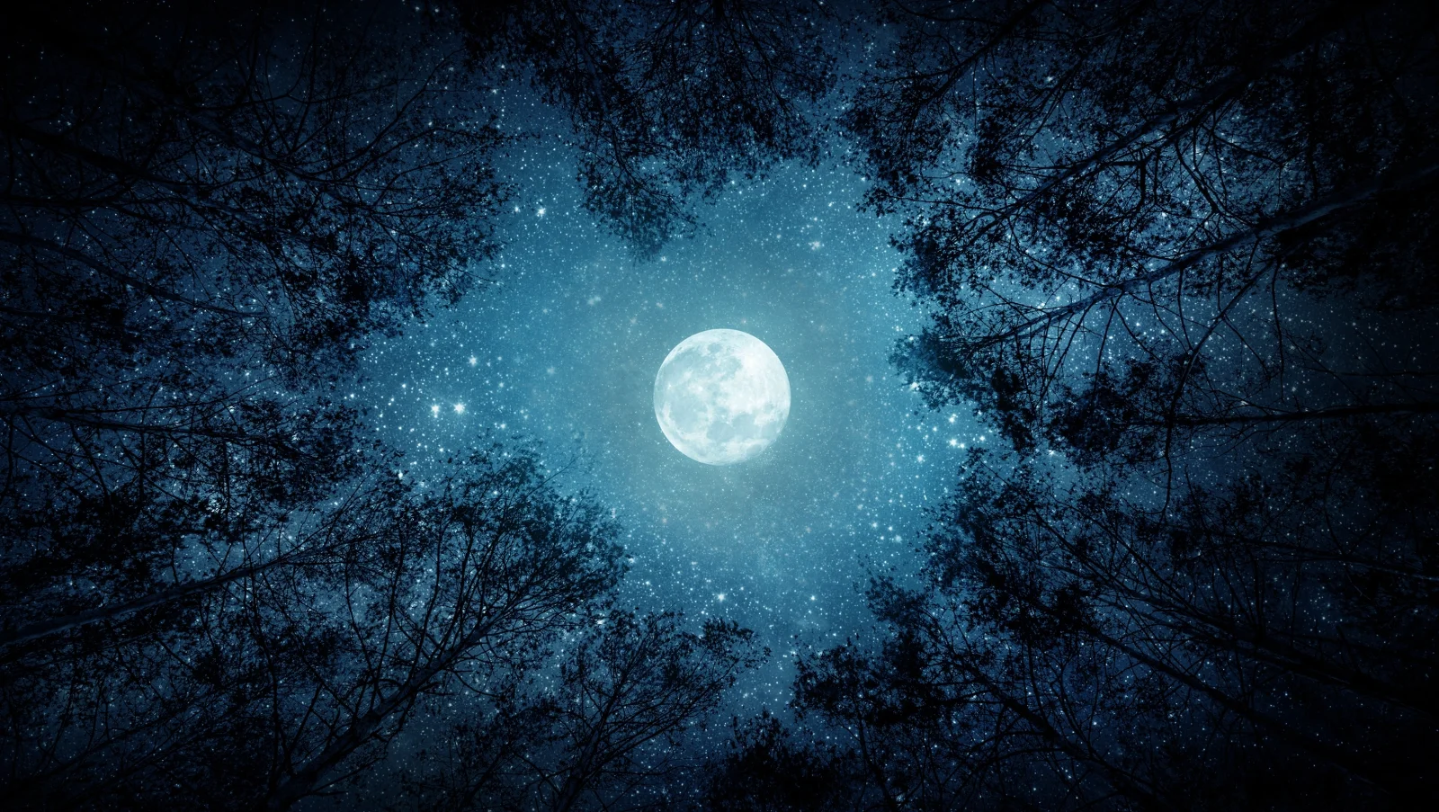 Květnový Úplněk : ce qu'il faut savoir — image 2