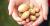 Har du noen gang tenkt på å dyrke egne poteter? Har du en Felleskjøpet Agri-butikk i nærheten, kan du stikke innom og hente en bøtte med en settepotet helt gratis. Gjelder i alle filialer lørdag 27. april fra kl. 11. Et lite skritt nærmere selvforsyning!