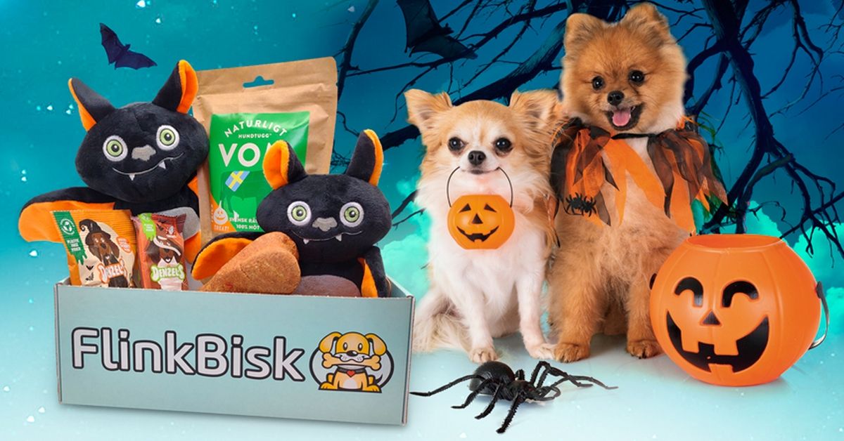 Vil du skjemme bort hunden med en Halloween-boks full av snacks og leker?