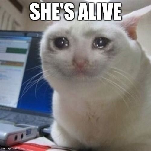 Image of a cat beside the laptop shedding tears of joy