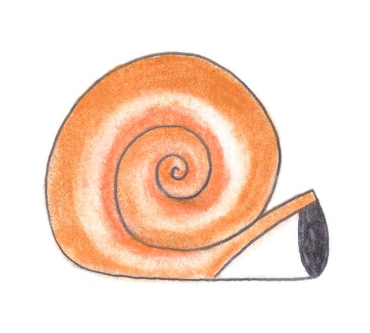 A Garden in Cairo cover art: a hand-drawn orange snail curled into a spiral shell.