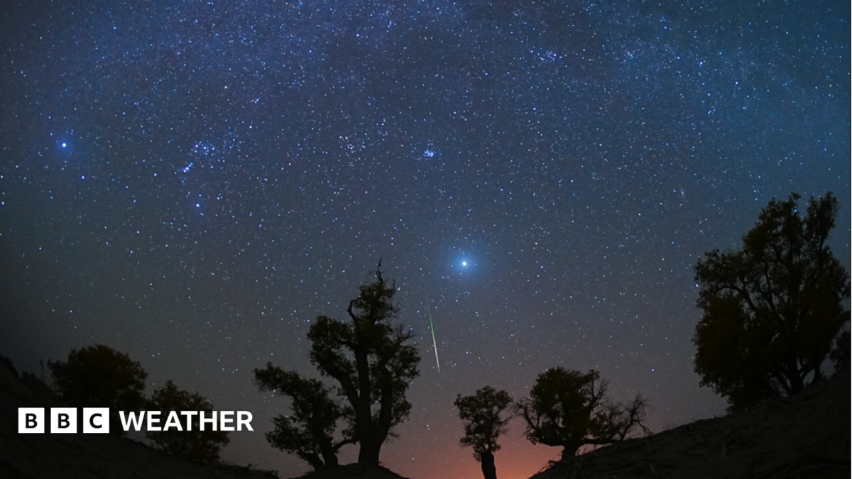 Orionid meteor shower peaks this week under a bright moon
